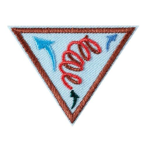 Brownie Leap Bot Design Badge