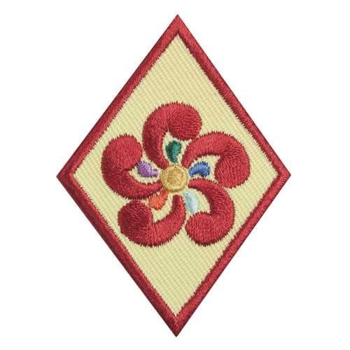 Cadette Entrepreneur Badge*