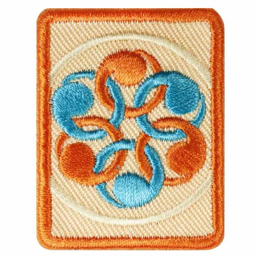 Senior Social Innovator Badge*