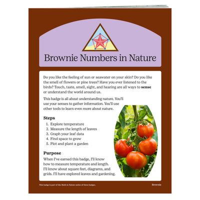 Badge Requirements - Brownie Numbers in Nature