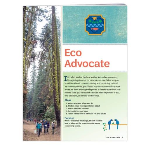 Badge Requirements - Ambassador Eco Advocate
