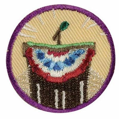 Junior Inside Government Badge