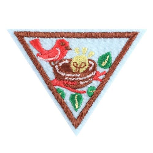 Brownie Budding Entrepreneur Badge