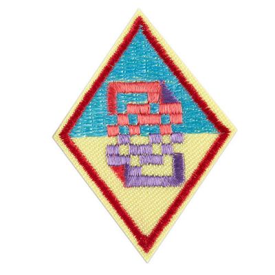 Cadette Cybersecurity Basics