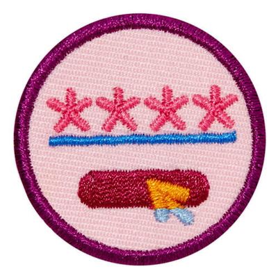 Junior Cybersecurity Safeguard Badge