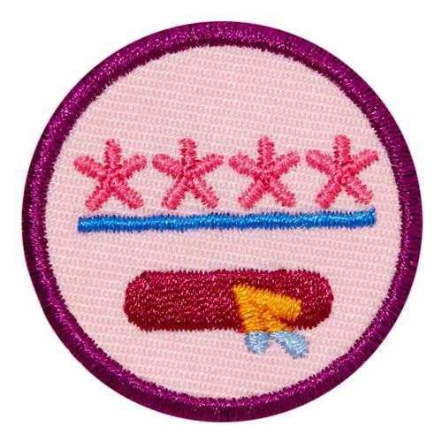Junior Cybersecurity Safeguard Badge