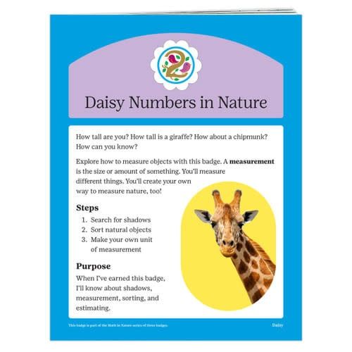 Badge Requirements - Daisy Numbers in Nature