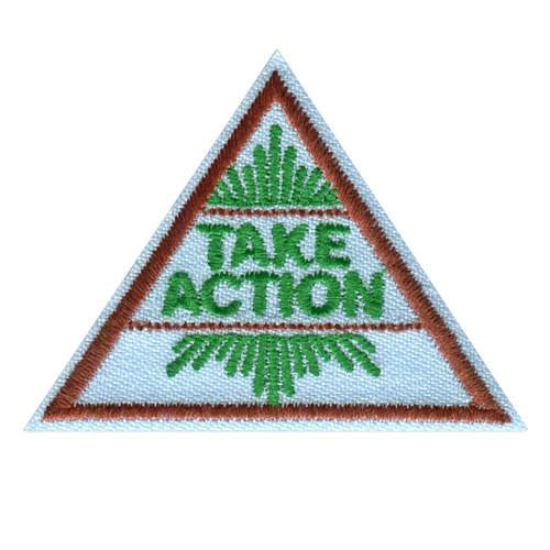 Brownie Take Action  Award