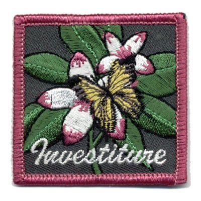 Investiture Fun Patch - butterfly*
