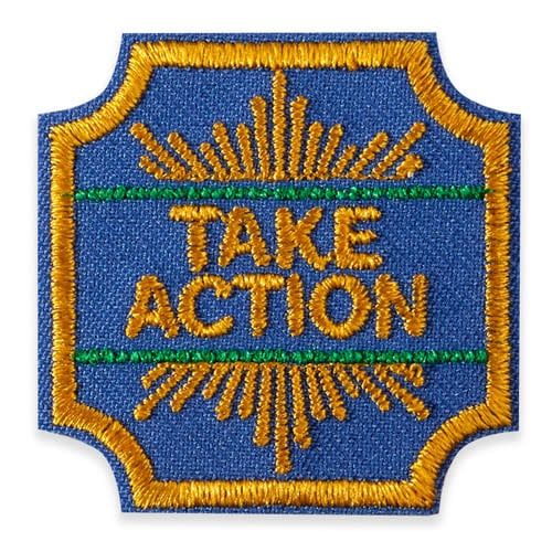 Ambassador Take Action  Award