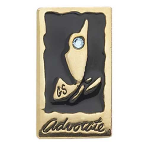 Ambassador Your Voice, Your World Journey Award Pin (Advocate)