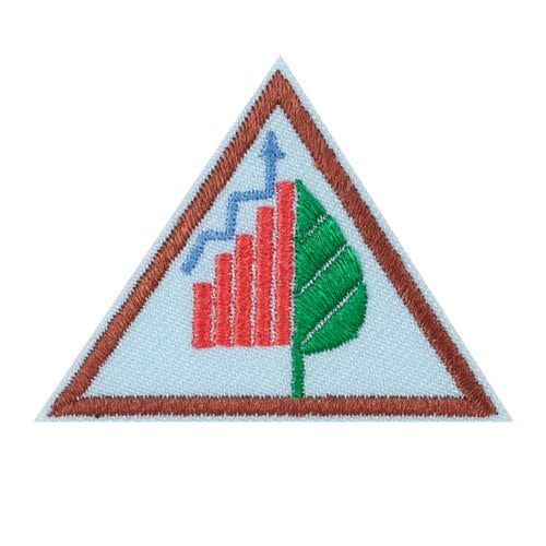 Brownie Think Like a Citizen Scientist Journey Award