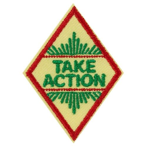 Cadette Take Action  Award