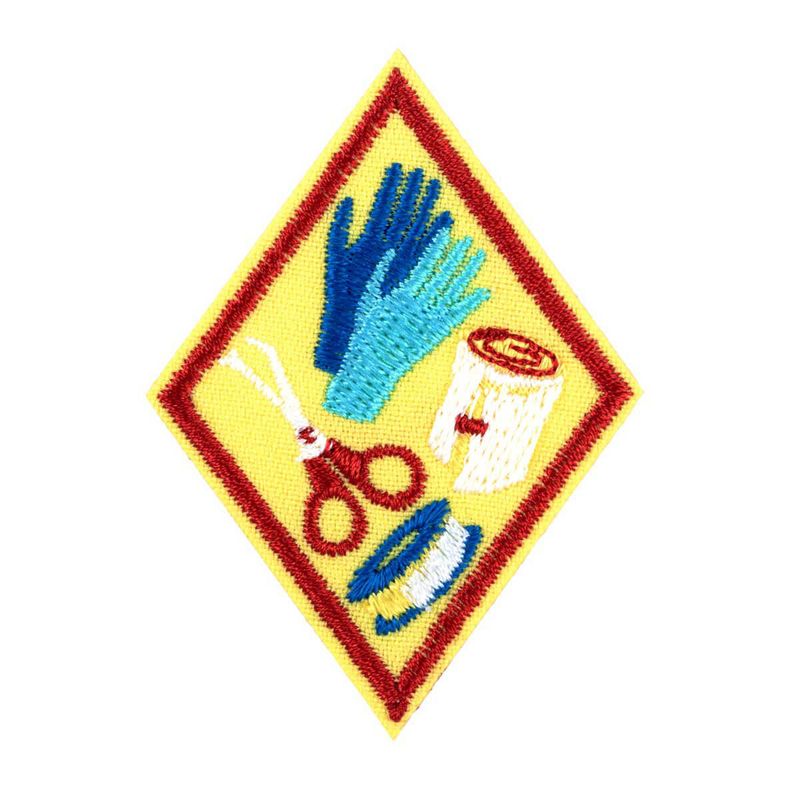 Cadette First Aid Badge - Updated