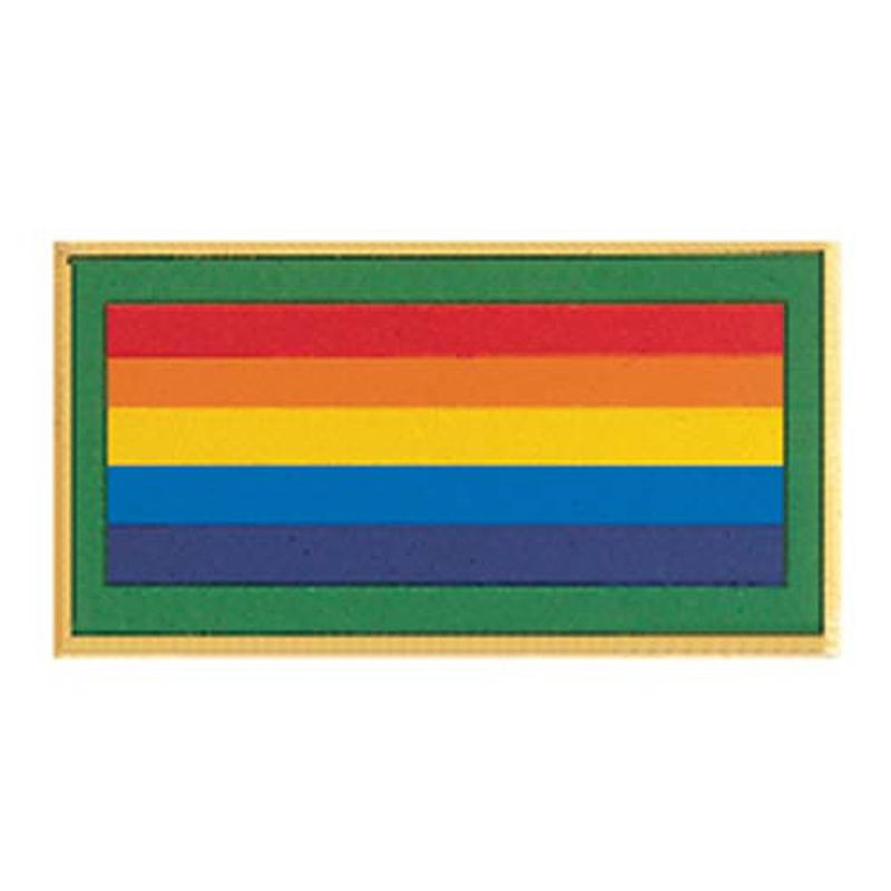Bridge to Adult Pin Award