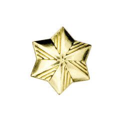 Girl Scout Membership Star Pin
