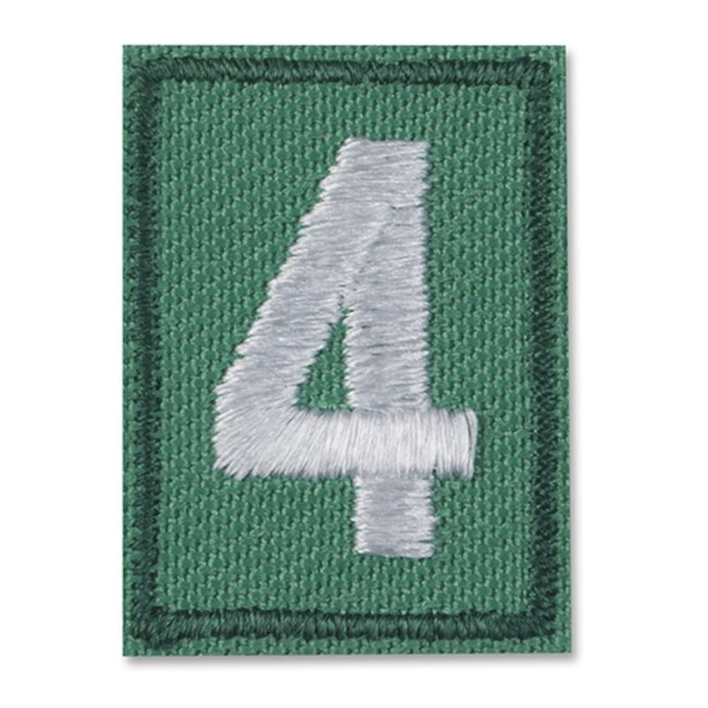 Multilevel Junior Troop Numbers