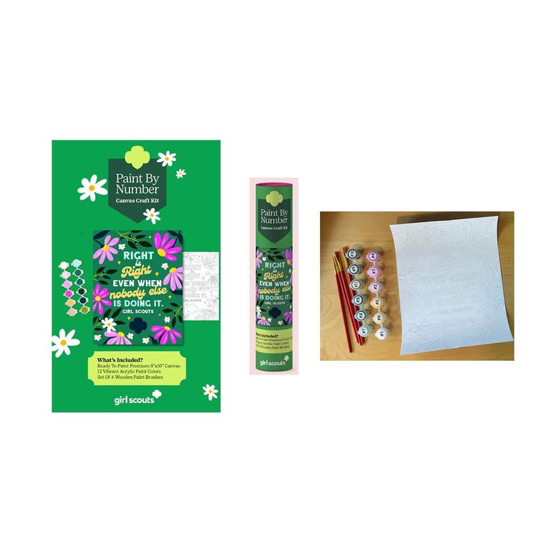 Girl Scout Paint by Number Kit