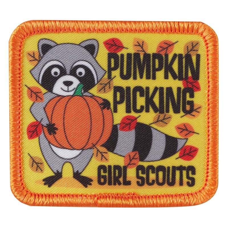 Pumpkin Picking Raccoon Sew-On Fun Patch