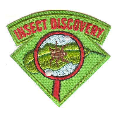 Insect Discovery Fun Patch
