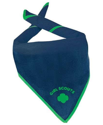Official Cadette/Senior/Ambassador Scarf (Blue)*