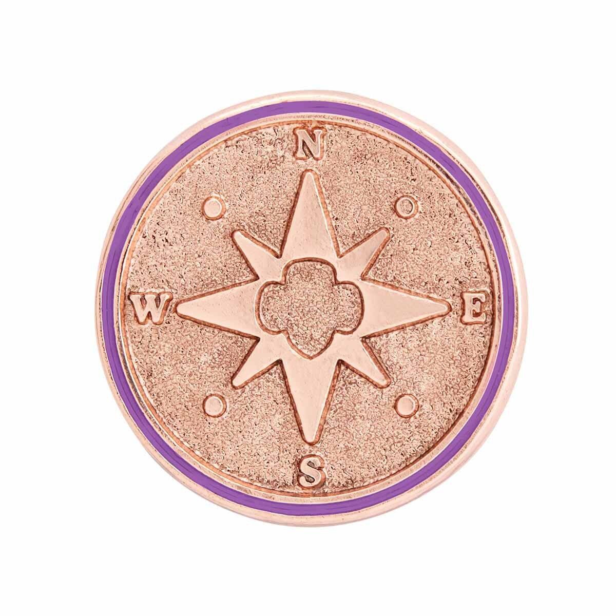 New! Junior True North Award Pin
