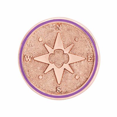 New! Junior True North Award Pin