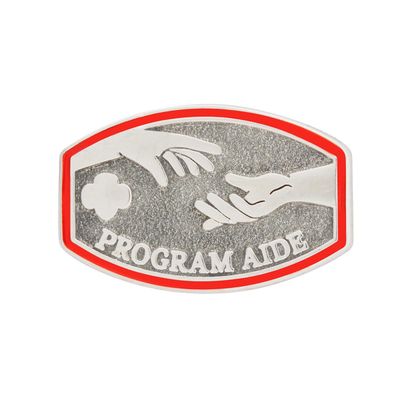 New!  Program Aide Award Pin
