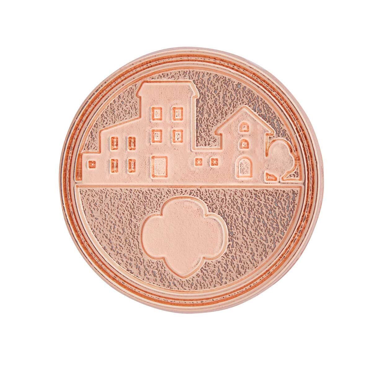 New!  Take Action Award Pin