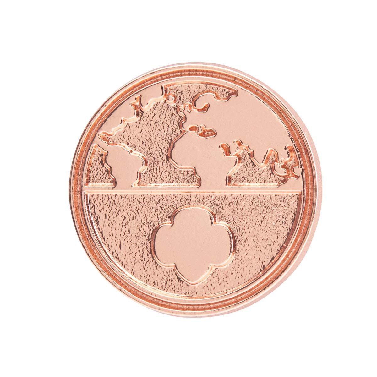 New!  Global Action Award Pin