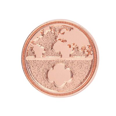 New!  Global Action Award Pin