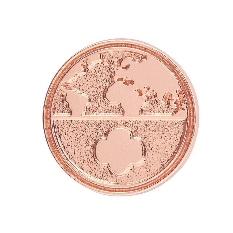 New!  Global Action Award Pin