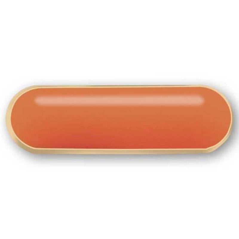 Adult Position Pin - Orange - Series and Travel Pathway Volunteer