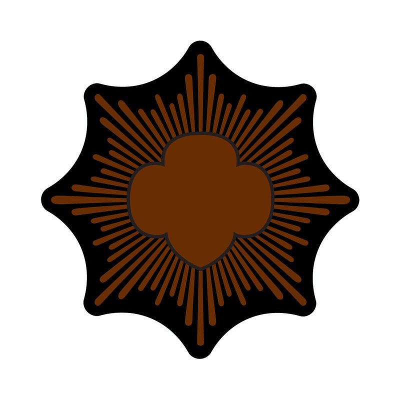 Bronze Award Water Bottle Decal