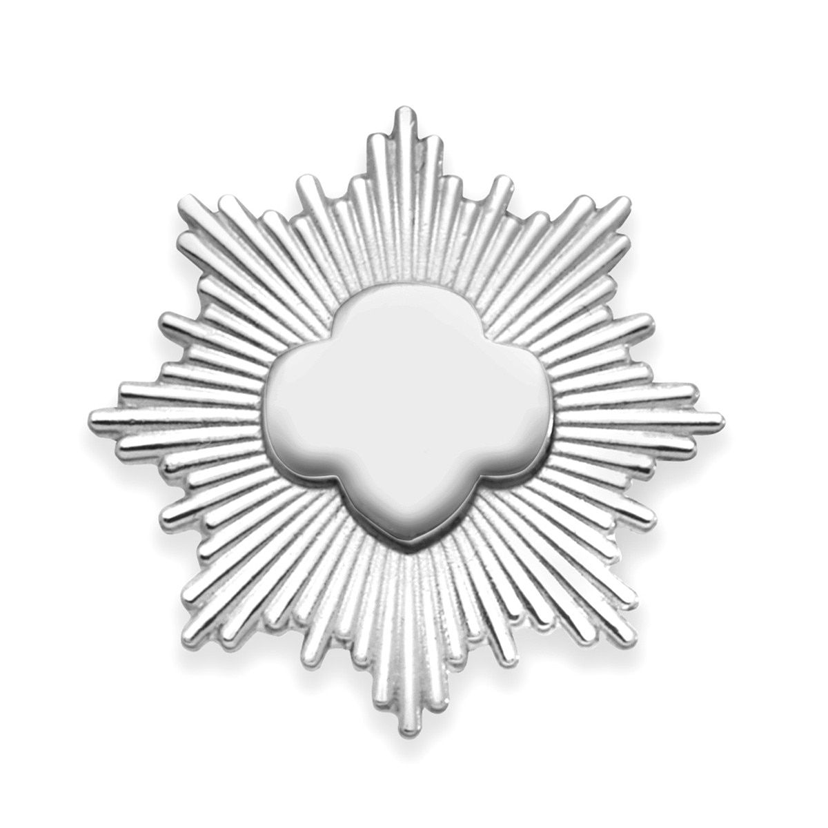 Silver Award Pin