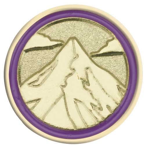 Junior Journey Summit Award Pin*