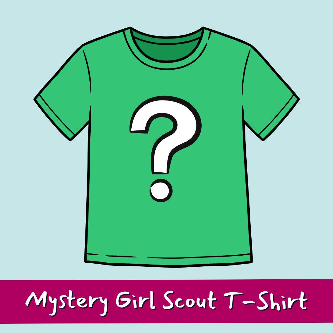 $12 Mystery T-Shirt
