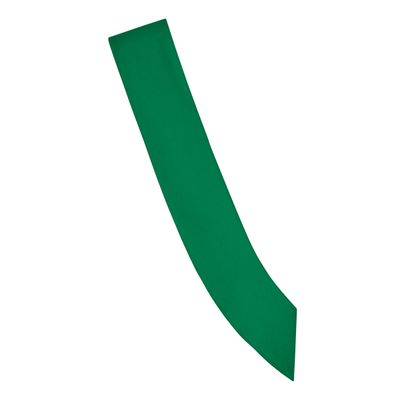 PRE-ORDER - Official Senior Sash - Spruce Green