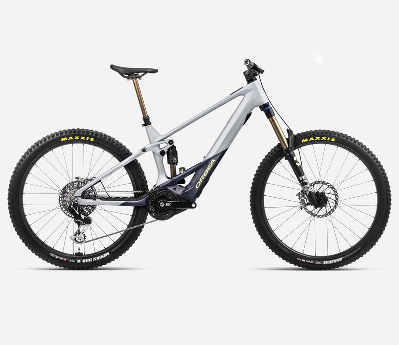 Orbea Wild M-LTD 2024