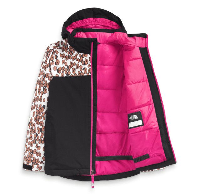 THE NORTH FACE Snow Quest Jacket Youth, Color: Brown, Size: LG