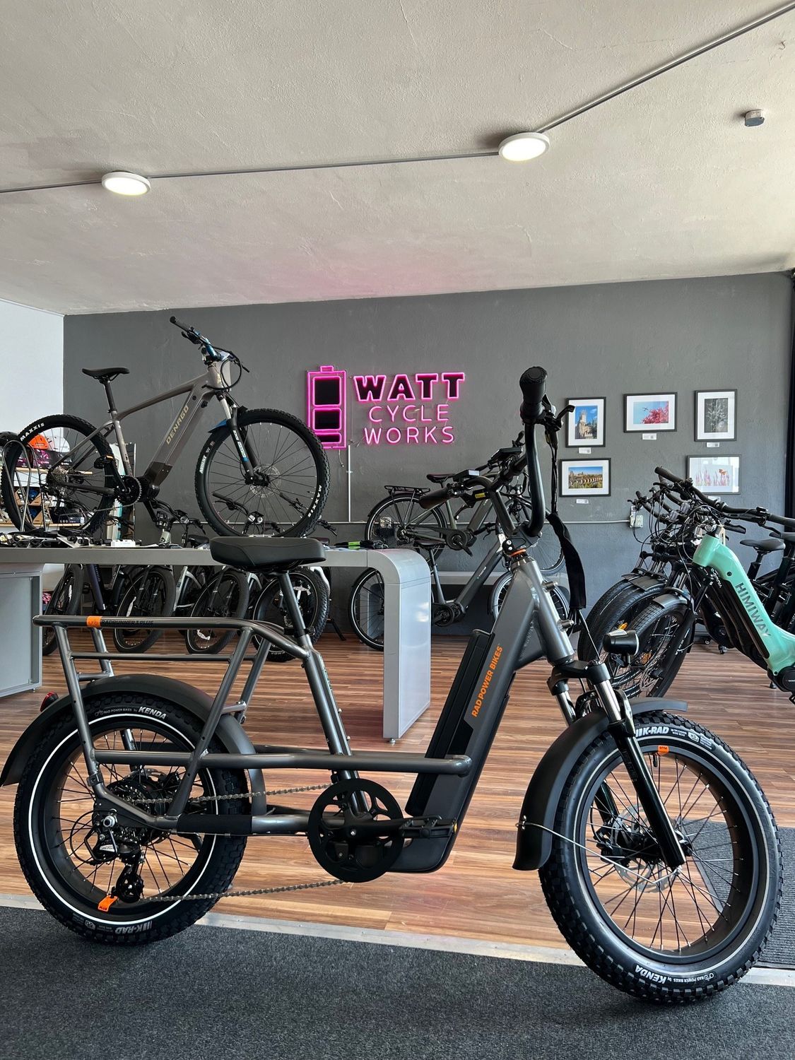 Rad Power RadRunner 3 Plus Electric Utility Bike