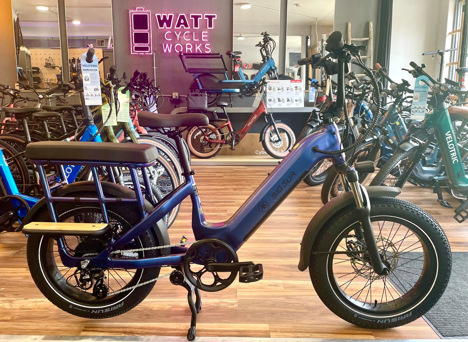Big Sur U Ebike