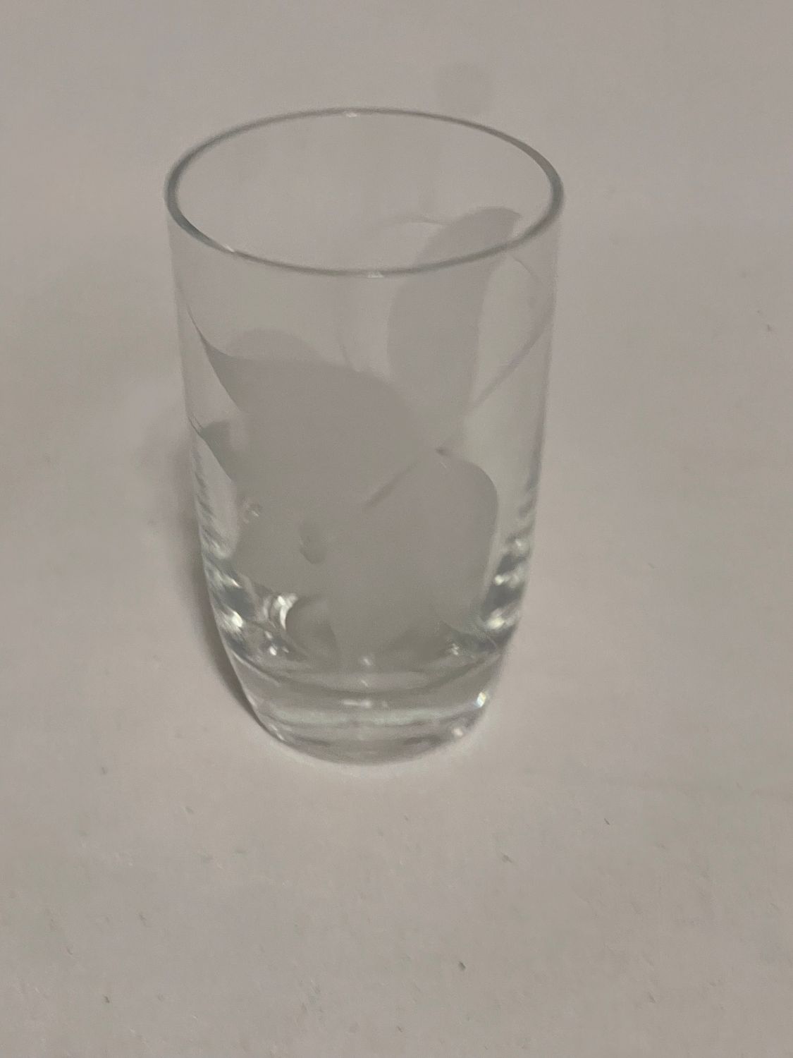 ETCHED LEAF JUICE GLASSES SET OF 6