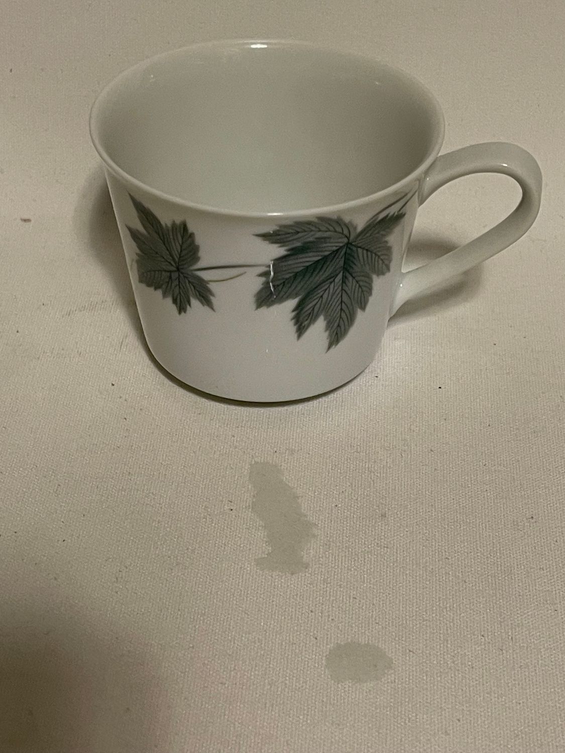 WILD IVY COOK AND SERVE CUP