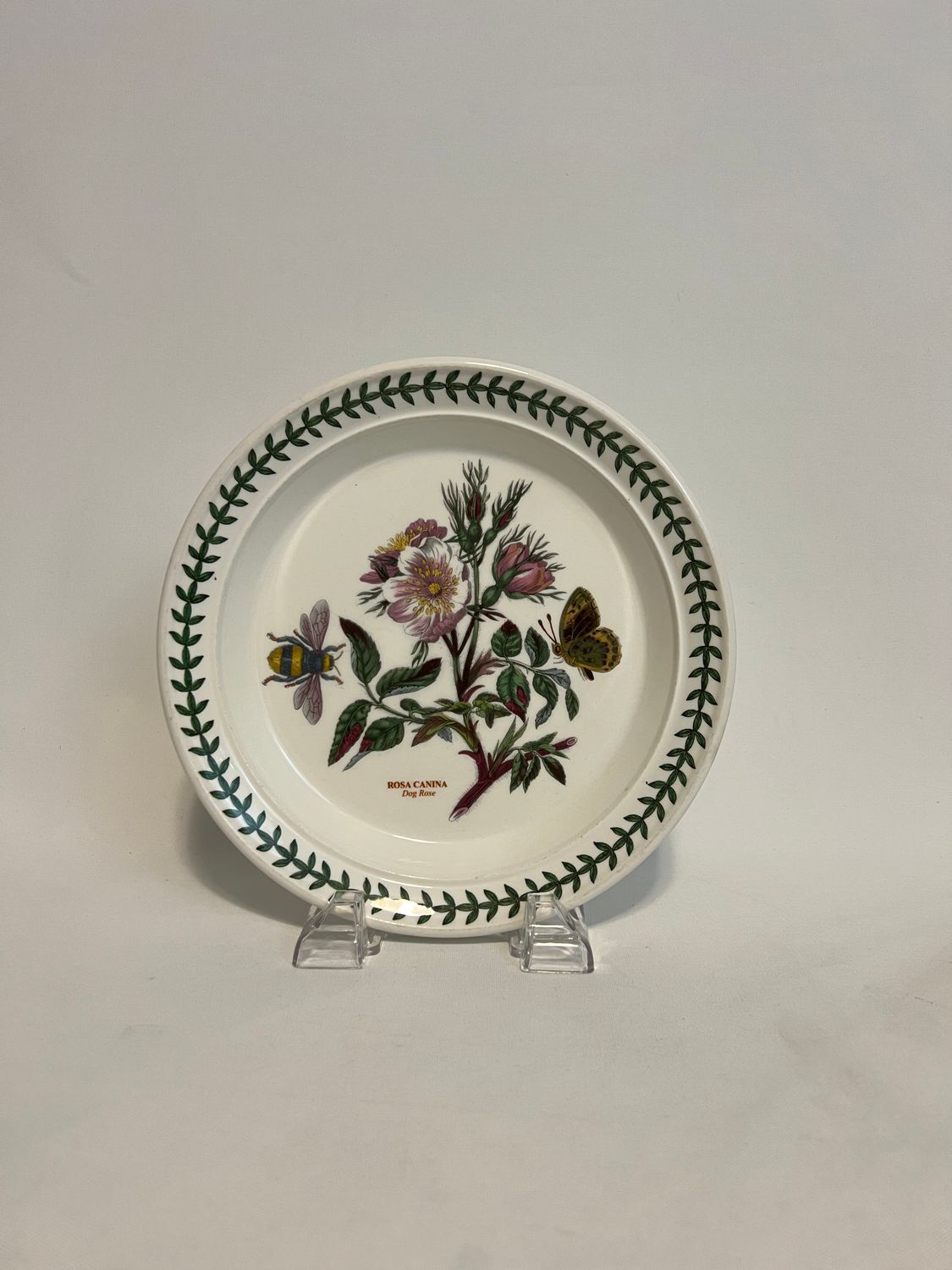 BOTANIC GARDEN SALAD PLATE DOG ROSE 8.5"