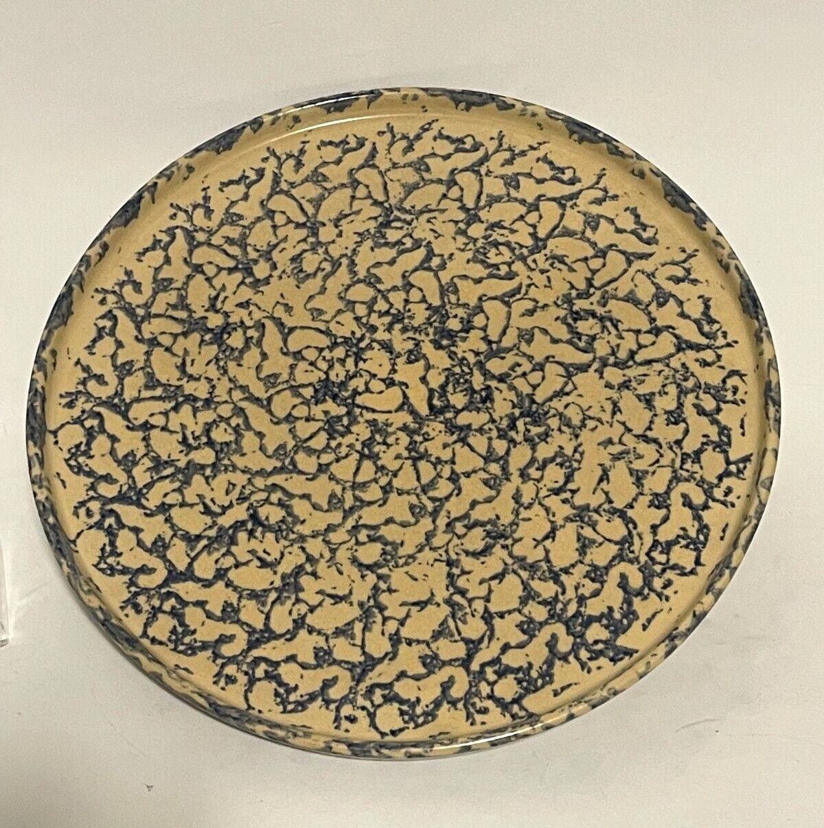 SPONGEWARE BLUE PIZZA TRY 12 1/2"