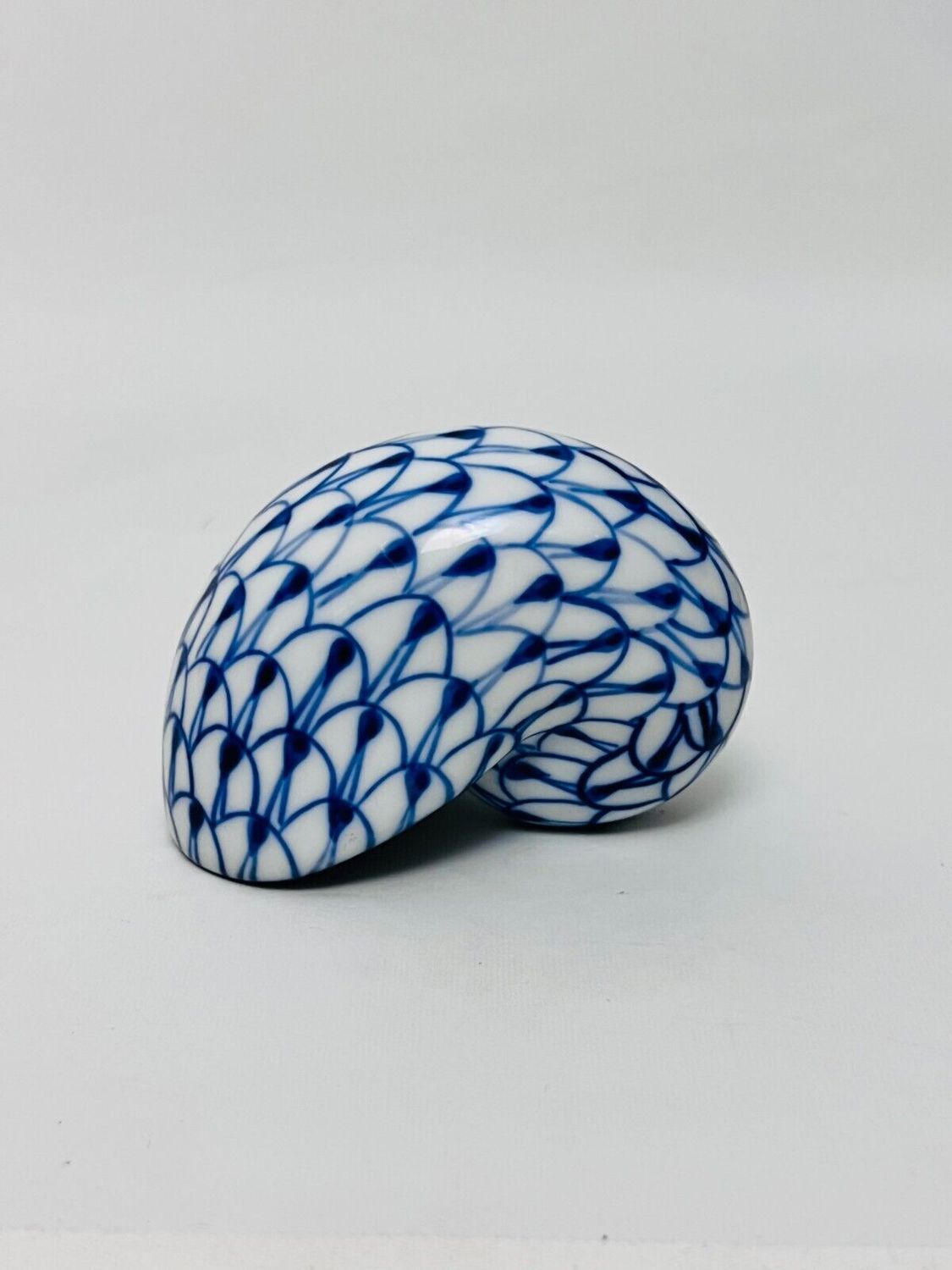 BLUE AND WHITE CLAM CONCH SHELL