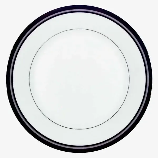 PLATINUM LIGHTS DINNER PLATE 10 1/2&quot;