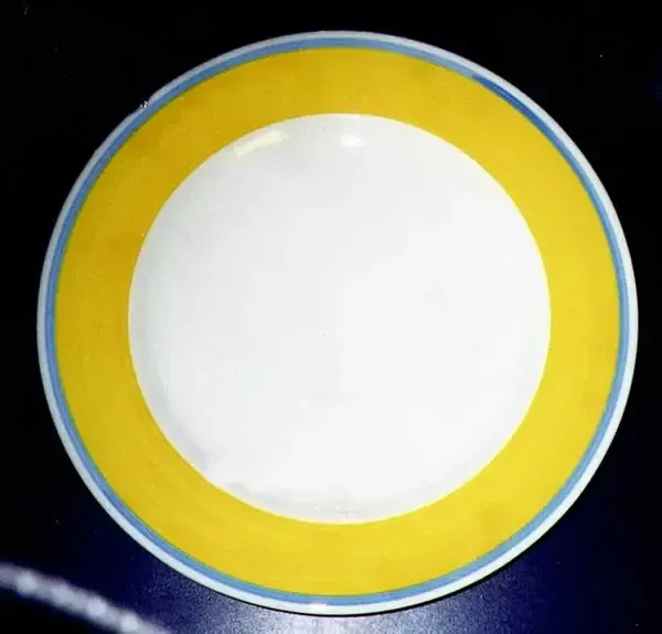 TC13  DINNER PLATE
