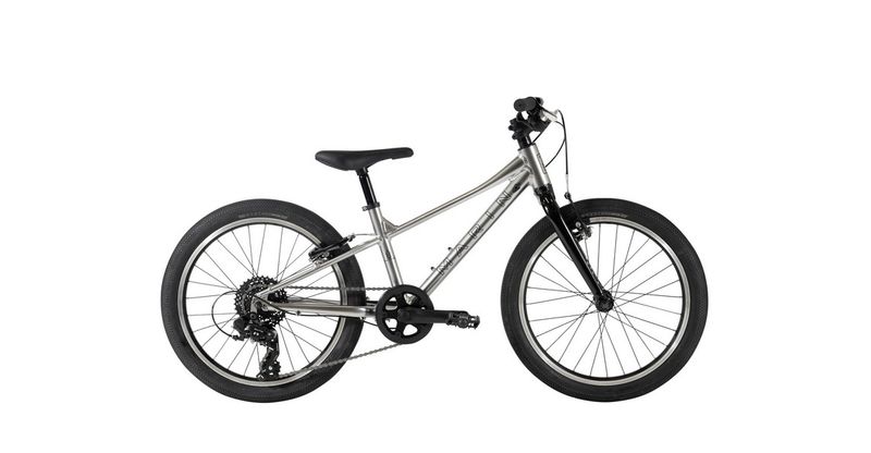 M 20" COAST TRAIL 7spd SILVER